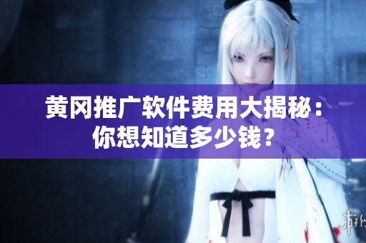 黄冈推广软件费用大揭秘：你想知道多少钱？