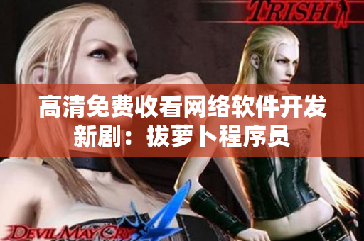 高清免费收看网络软件开发新剧：拔萝卜程序员