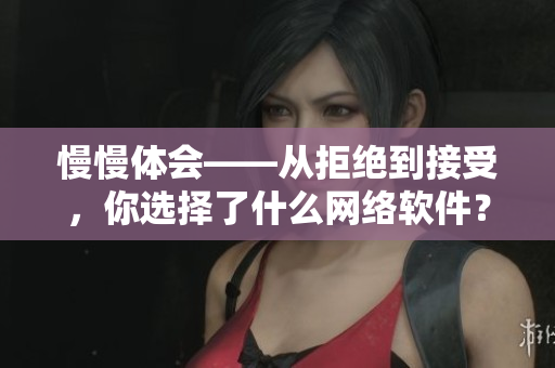慢慢体会——从拒绝到接受，你选择了什么网络软件？