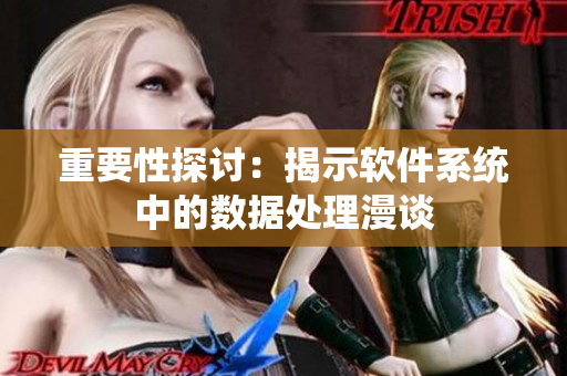 重要性探讨：揭示软件系统中的数据处理漫谈