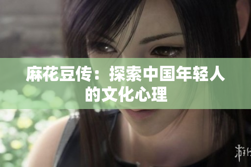 麻花豆传：探索中国年轻人的文化心理