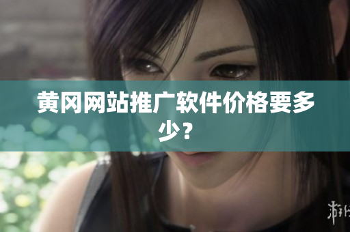黄冈网站推广软件价格要多少？