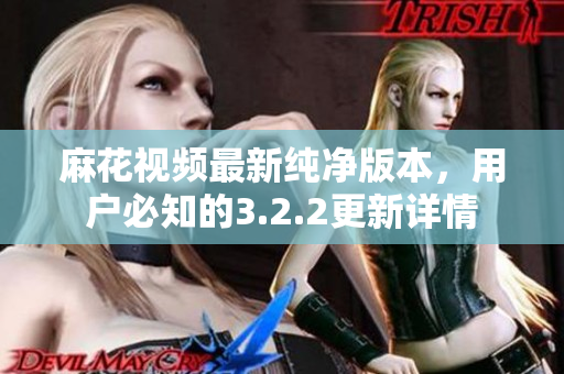 麻花视频最新纯净版本，用户必知的3.2.2更新详情