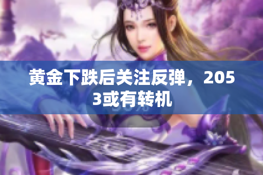黄金下跌后关注反弹，2053或有转机