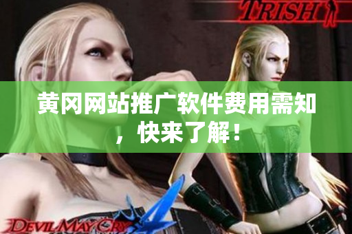 黄冈网站推广软件费用需知，快来了解！