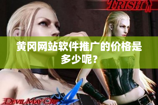 黄冈网站软件推广的价格是多少呢？