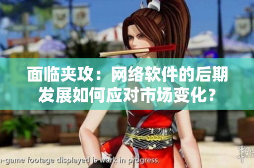 面临夹攻：网络软件的后期发展如何应对市场变化？
