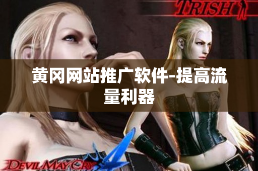 黄冈网站推广软件-提高流量利器
