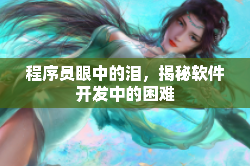 程序员眼中的泪，揭秘软件开发中的困难