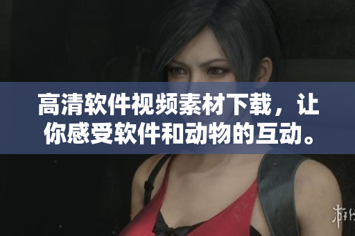 高清软件视频素材下载，让你感受软件和动物的互动。