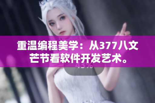 重温编程美学：从377八文芒节看软件开发艺术。