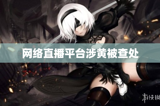 网络直播平台涉黄被查处