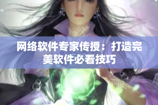 网络软件专家传授：打造完美软件必看技巧