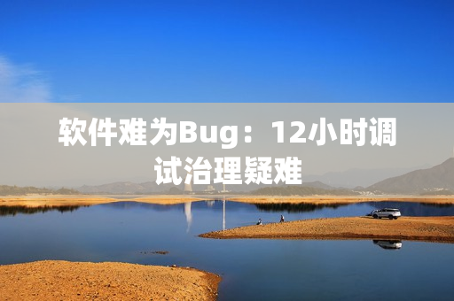 软件难为Bug：12小时调试治理疑难