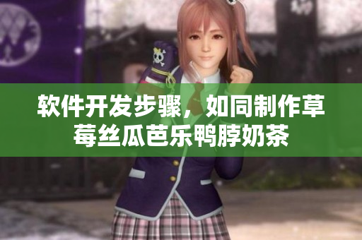 软件开发步骤，如同制作草莓丝瓜芭乐鸭脖奶茶