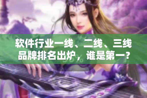 软件行业一线、二线、三线品牌排名出炉，谁是第一？