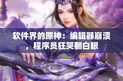 软件界的原神：编辑器崩溃，程序员狂哭翻白眼