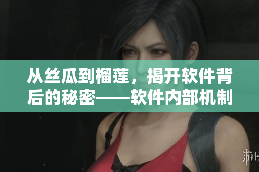 从丝瓜到榴莲，揭开软件背后的秘密——软件内部机制详解