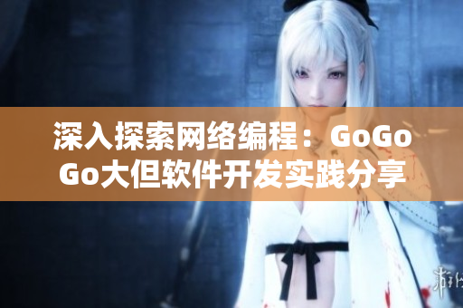 深入探索网络编程：GoGoGo大但软件开发实践分享