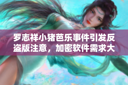 罗志祥小猪芭乐事件引发反盗版注意，加密软件需求大增
