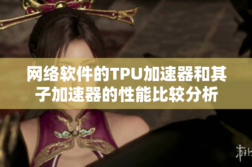 网络软件的TPU加速器和其子加速器的性能比较分析