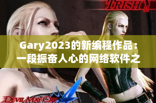 Gary2023的新编程作品：一段振奋人心的网络软件之旅
