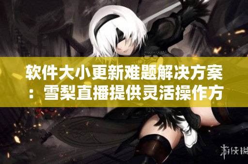 软件大小更新难题解决方案：雪梨直播提供灵活操作方法