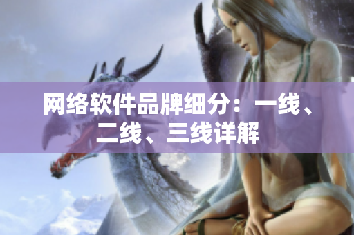 网络软件品牌细分：一线、二线、三线详解