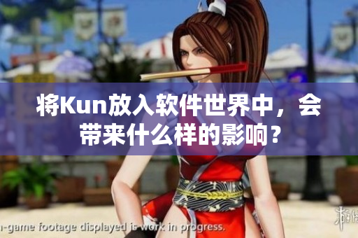将Kun放入软件世界中，会带来什么样的影响？