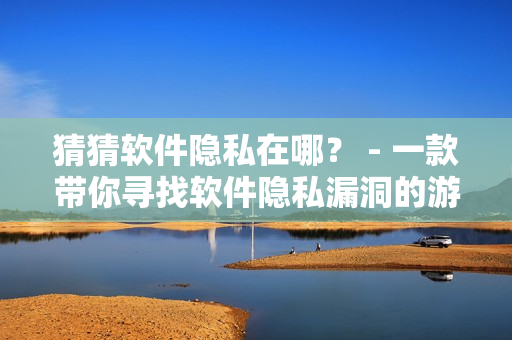 猜猜软件隐私在哪？ - 一款带你寻找软件隐私漏洞的游戏！