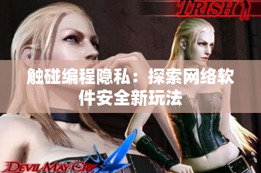 触碰编程隐私：探索网络软件安全新玩法