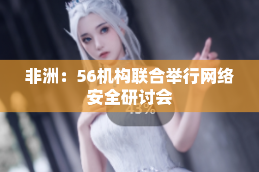 非洲：56机构联合举行网络安全研讨会