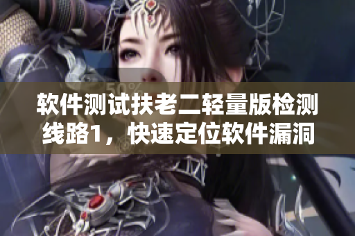 软件测试扶老二轻量版检测线路1，快速定位软件漏洞