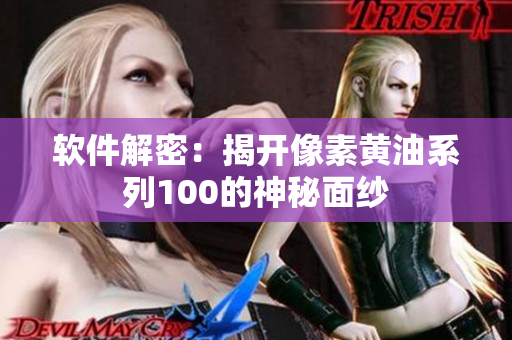 软件解密：揭开像素黄油系列100的神秘面纱