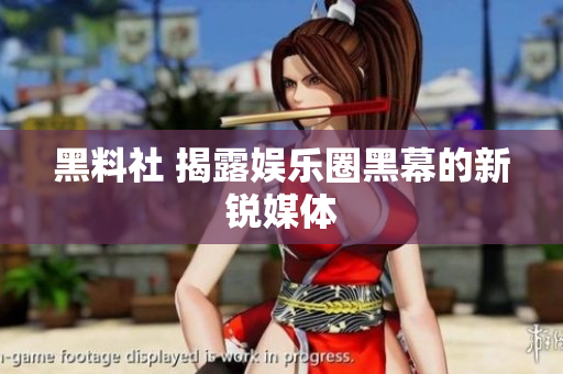 黑料社 揭露娱乐圈黑幕的新锐媒体