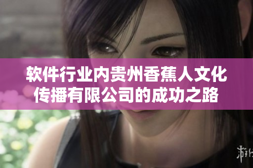 软件行业内贵州香蕉人文化传播有限公司的成功之路