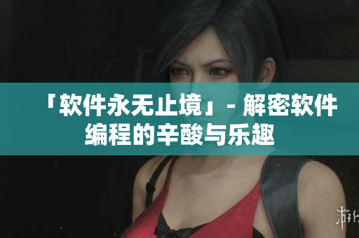 「软件永无止境」- 解密软件编程的辛酸与乐趣