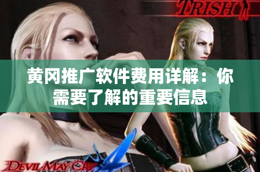 黄冈推广软件费用详解：你需要了解的重要信息
