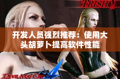 开发人员强烈推荐：使用大头胡萝卜提高软件性能