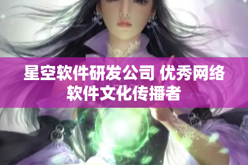 星空软件研发公司 优秀网络软件文化传播者