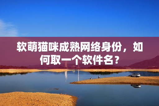 软萌猫咪成熟网络身份，如何取一个软件名？