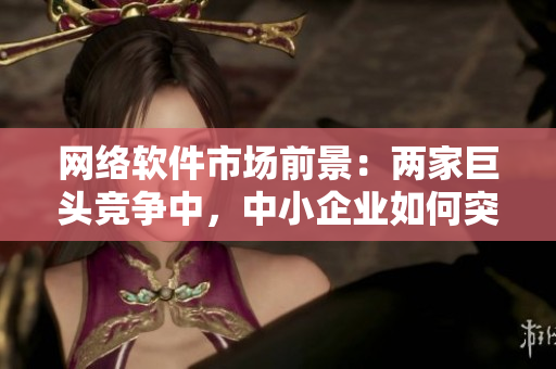 网络软件市场前景：两家巨头竞争中，中小企业如何突围？