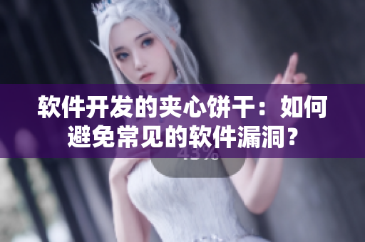 软件开发的夹心饼干：如何避免常见的软件漏洞？