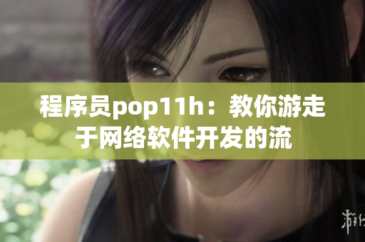程序员pop11h：教你游走于网络软件开发的流