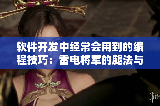 软件开发中经常会用到的编程技巧：雷电将军的腿法与脚法