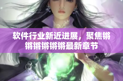 软件行业新近进展，聚焦锵锵锵锵锵锵最新章节