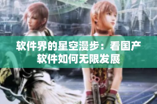 软件界的星空漫步：看国产软件如何无限发展