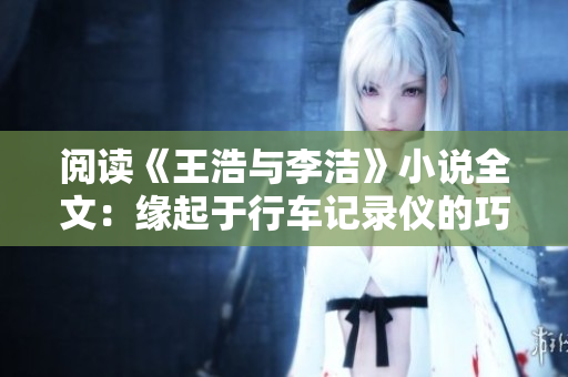 阅读《王浩与李洁》小说全文：缘起于行车记录仪的巧遇