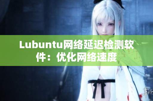 Lubuntu网络延迟检测软件：优化网络速度