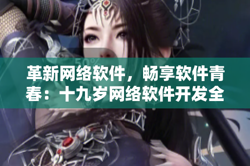 革新网络软件，畅享软件青春：十九岁网络软件开发全攻略